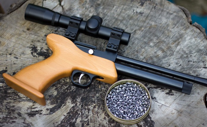 Pistol Pest Control